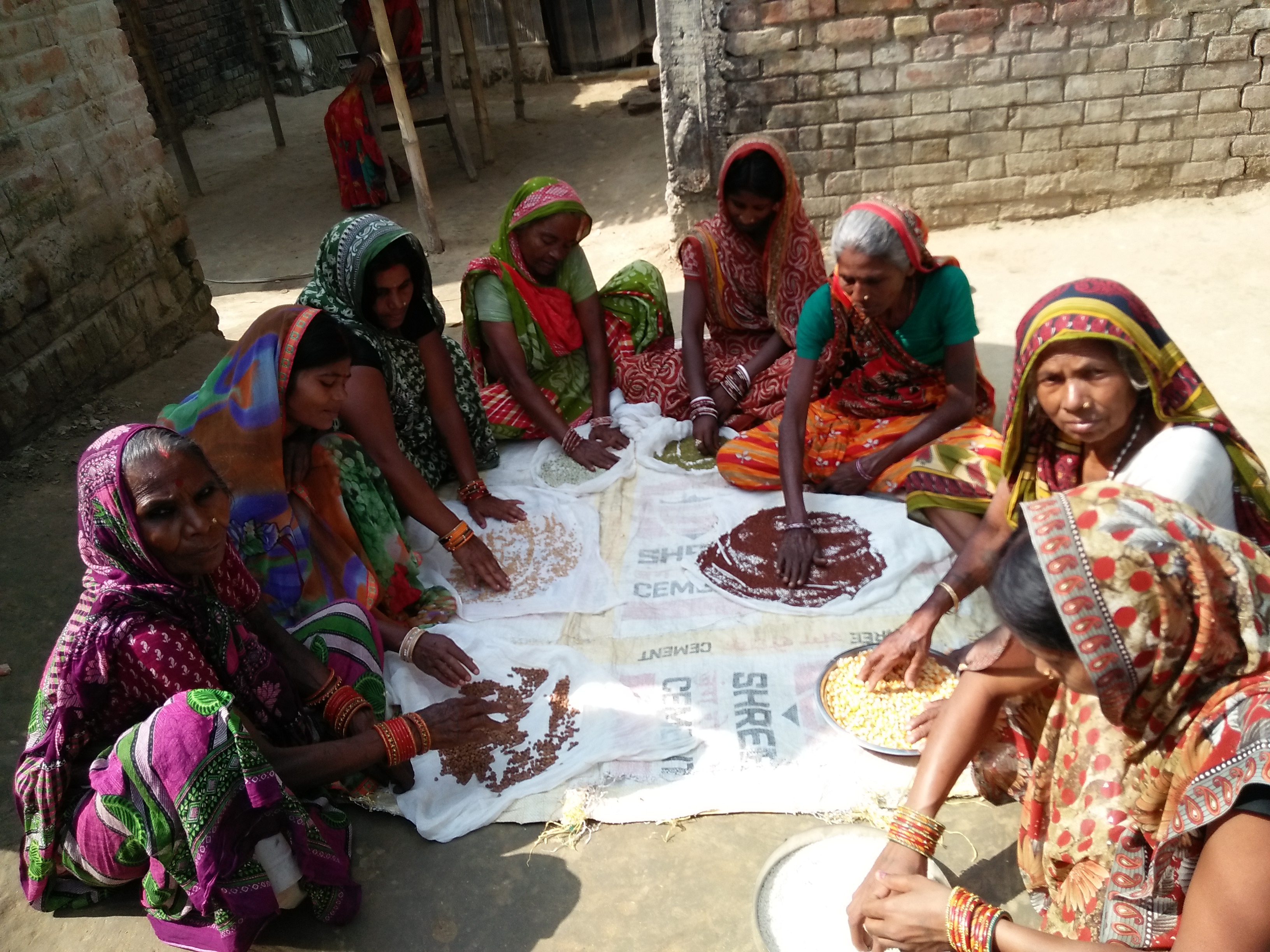 Women from Machowda village, Bihar is drying the grain for the multigrain nutrient ball preparation