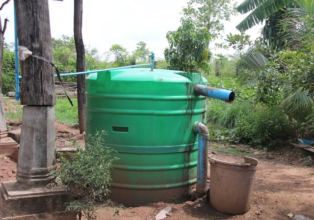 Using slurry from biodigester for soil improvement
