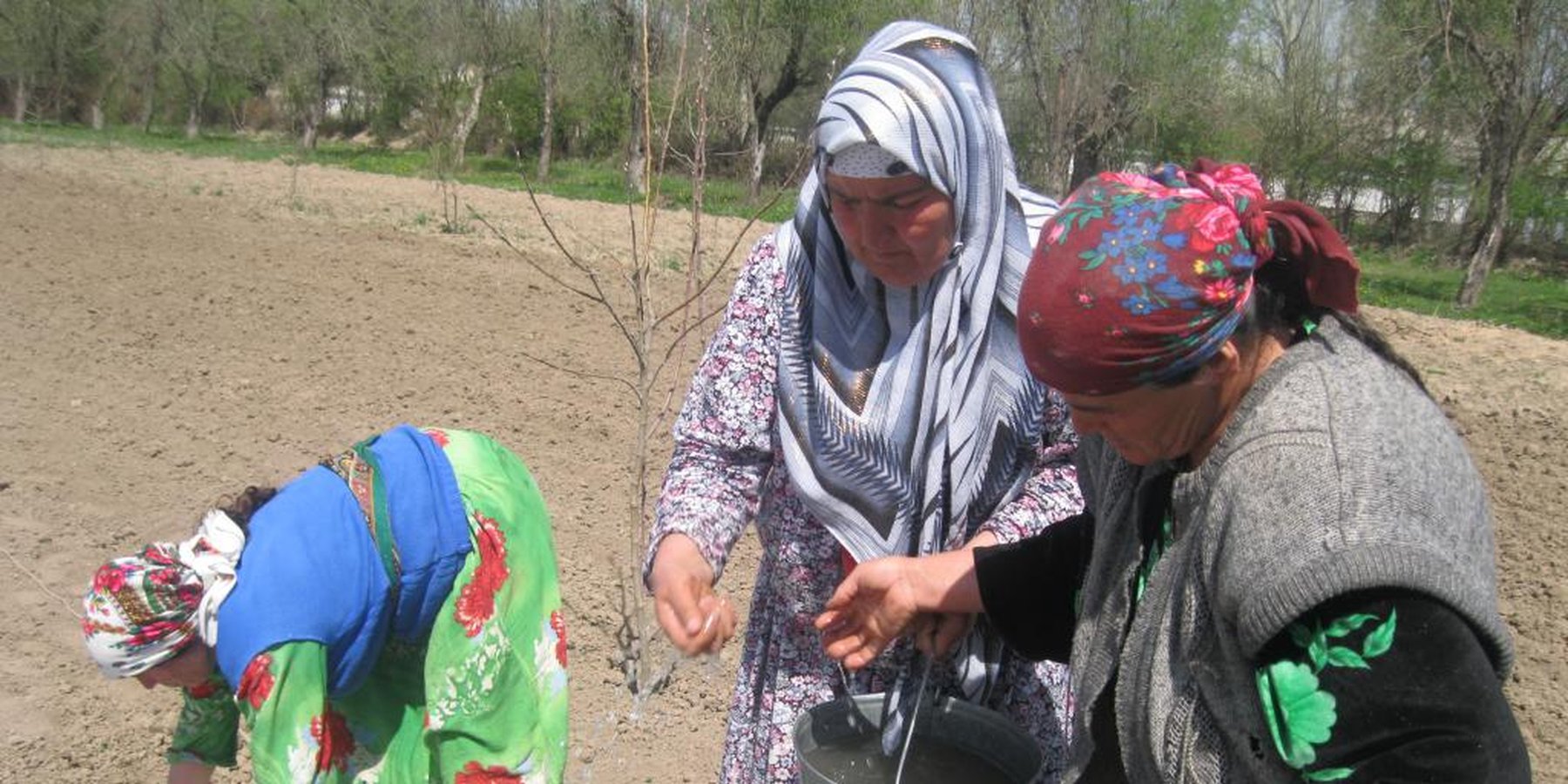 Training on Potato Growing to increase productivity and therefore the income generation ability of the women