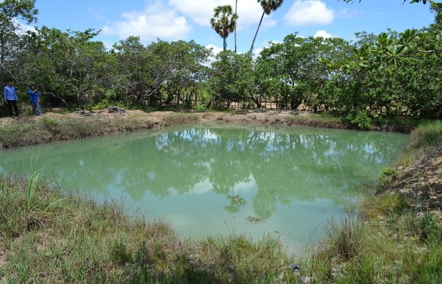 Use of household ponds for garden irrigation and fish production.
