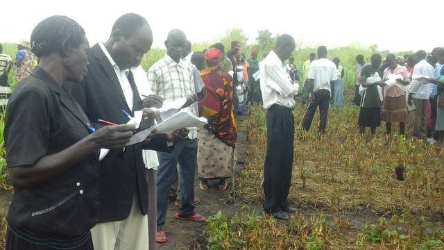 Participatory Monitoring and Evaluation of Demonstration Plots