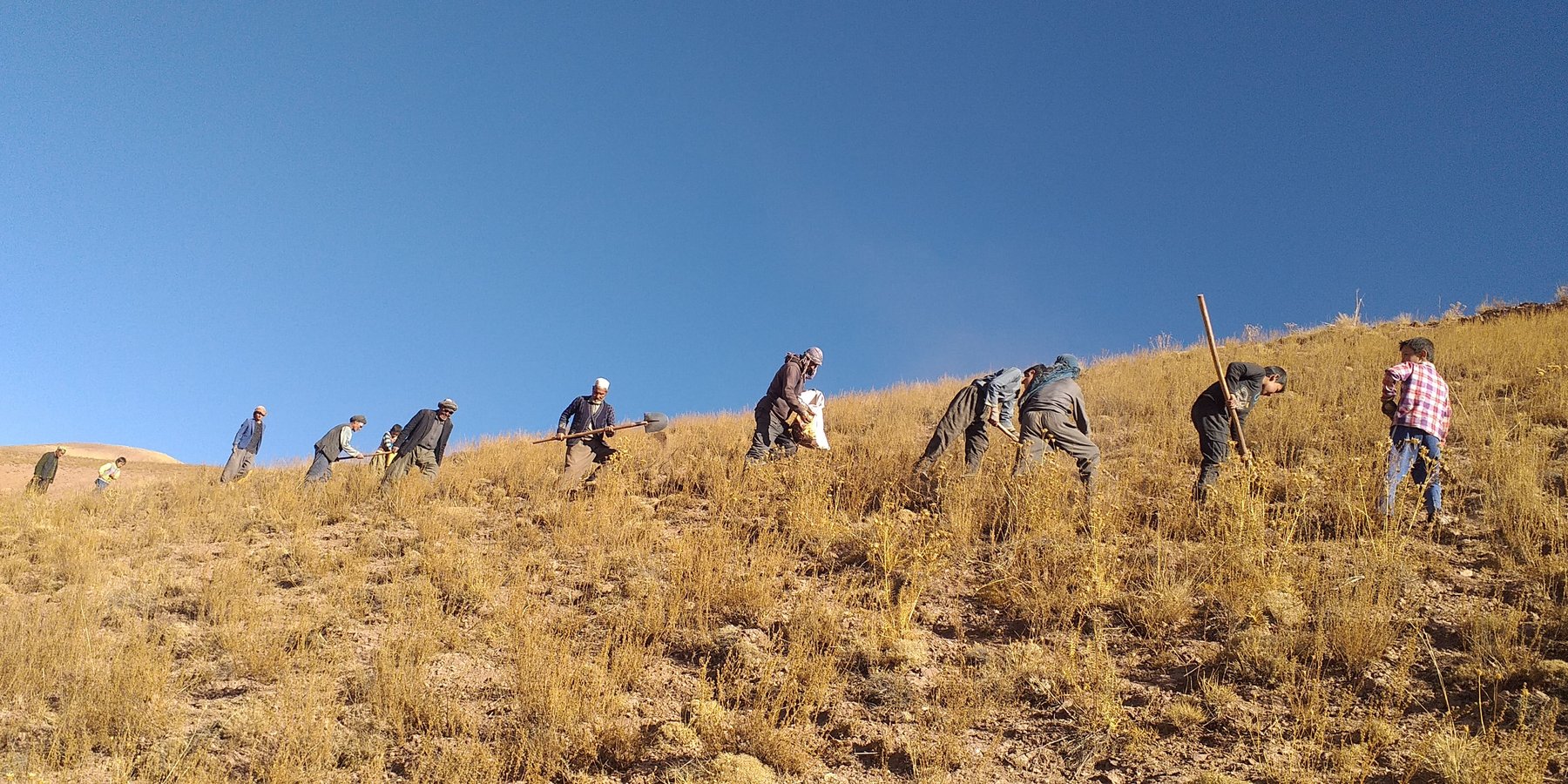 Members of the Rangeland Management Association actively engaged in reseeding local fodder species to restore and sustain the rangeland ecosystem.