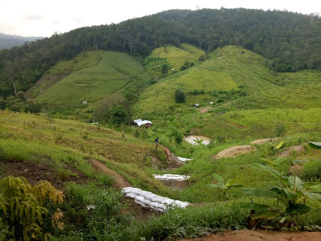 Returning Life to Mae Chaem Watershed by Integrated Land and Water Management