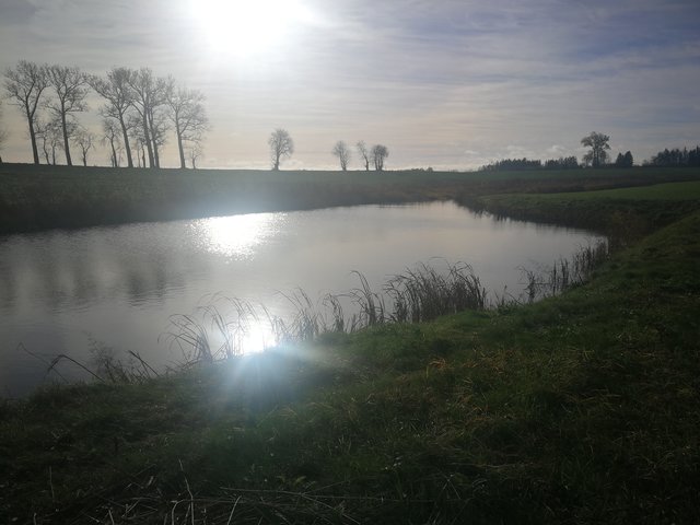 Wetland in the Stabė River