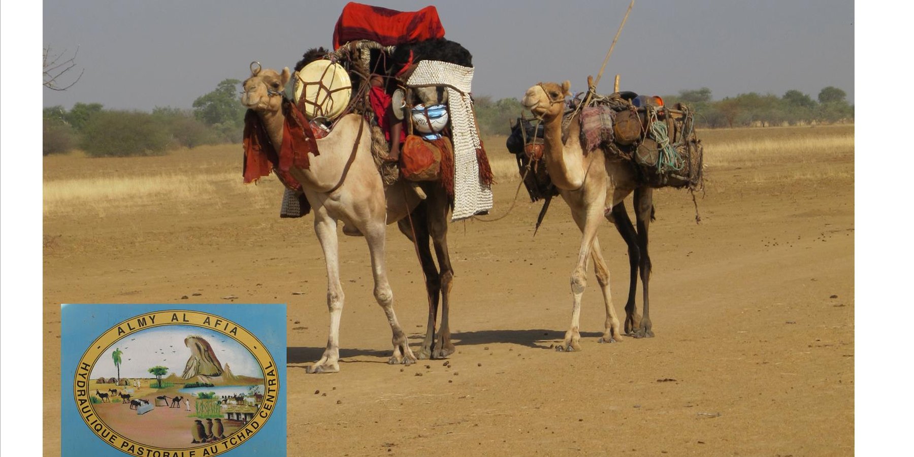 Camp of Arab camel herders during their seasonal migration