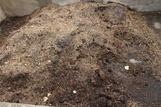 Making compost to improve soil fertility in vegetable home gardens