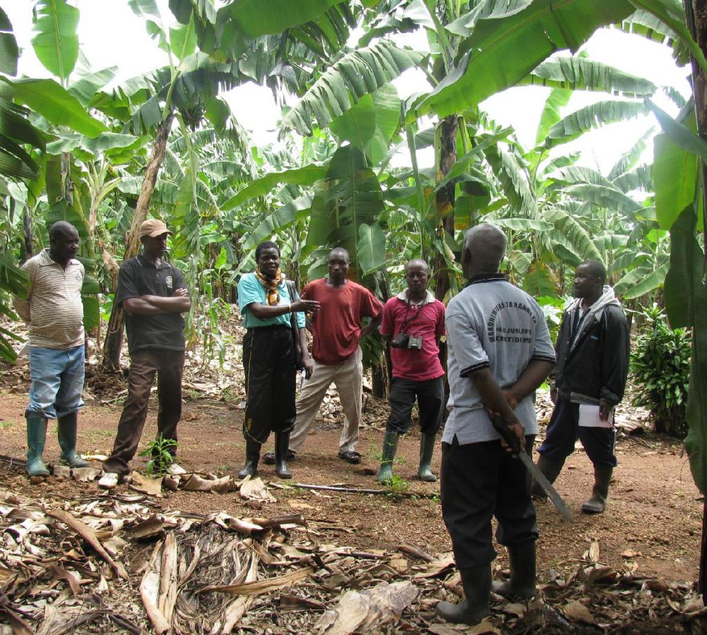 On farm interview between SLM specialist and Mr.Boko (performing farmer) on his Banana farm at Kyazi Villag