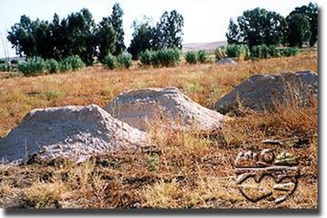 Adición de enmiendas a suelos contaminados