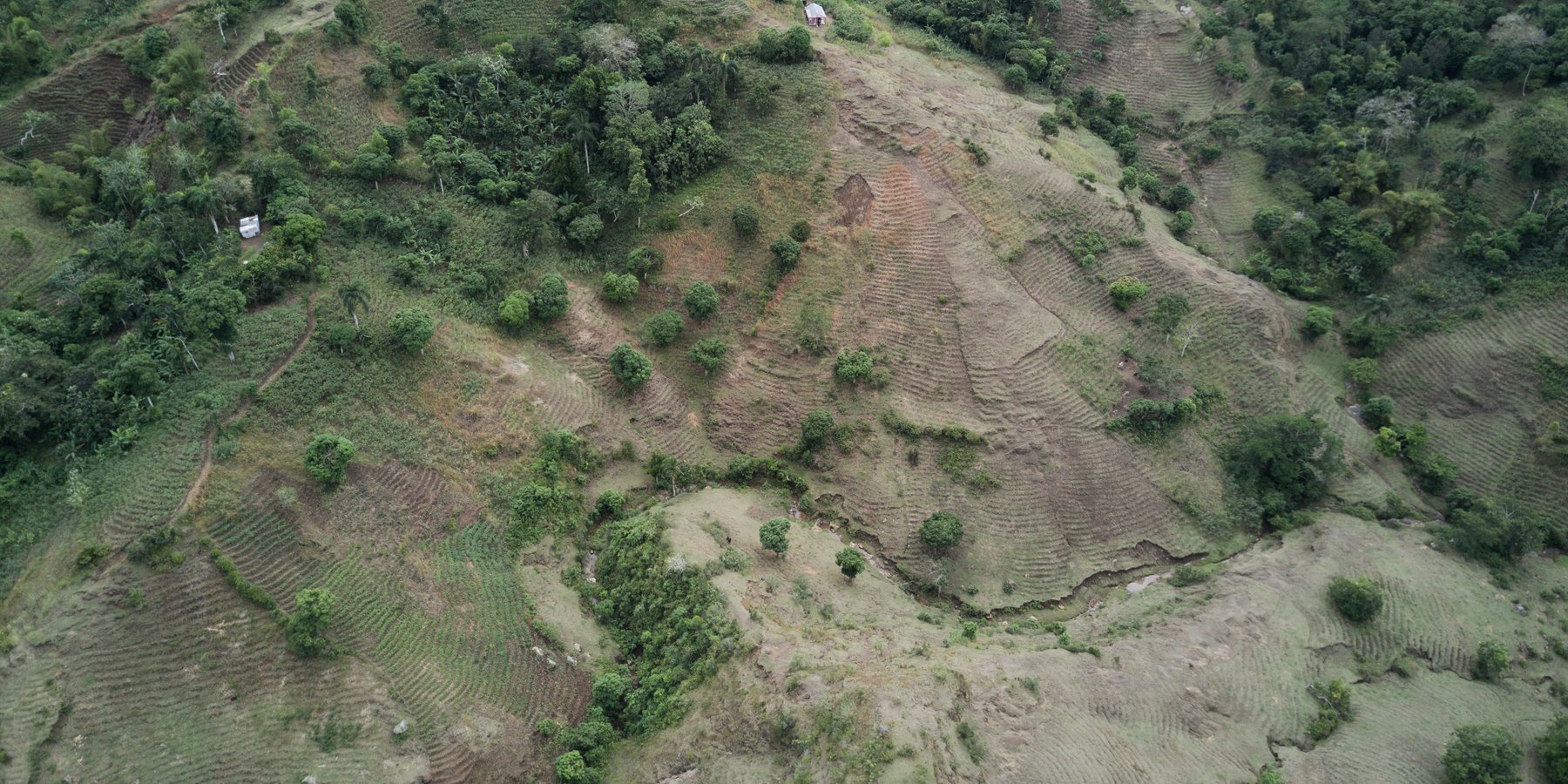Weeded and ploughed crops / erosive crops on steep slopes in Léogâne, Haiti