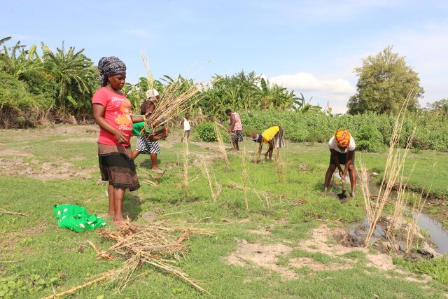 Integrated Wetlands Biodiversity Conservation Project