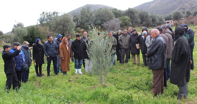 Projet de développement des zones montagneuses du Nord Ouest Tunisien.