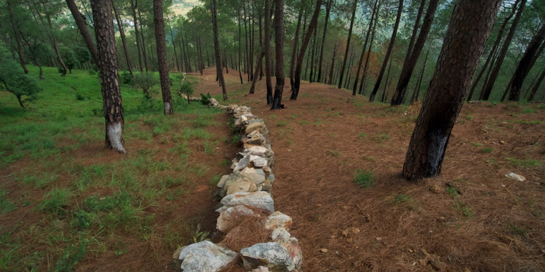 Stone Wall Fencing and Firebreak for Forest Protection