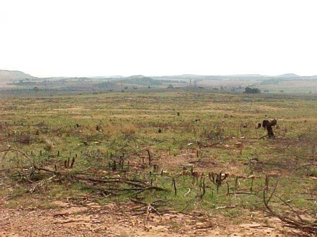 Restoration of degraded rangeland