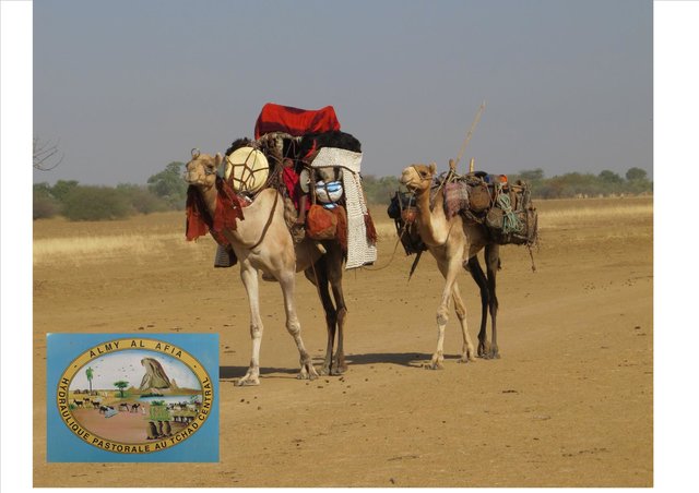 Securing the mobility of pastoralism through consultation and access to water sources
