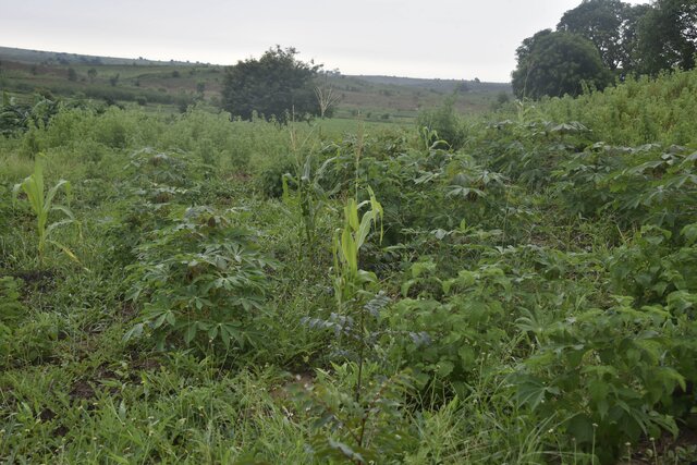 Approche 4L (Land management, social Learning, resilient Landscape, sustainable Livelihoods) pour la restauration des paysages et des écosystèmes forestiers