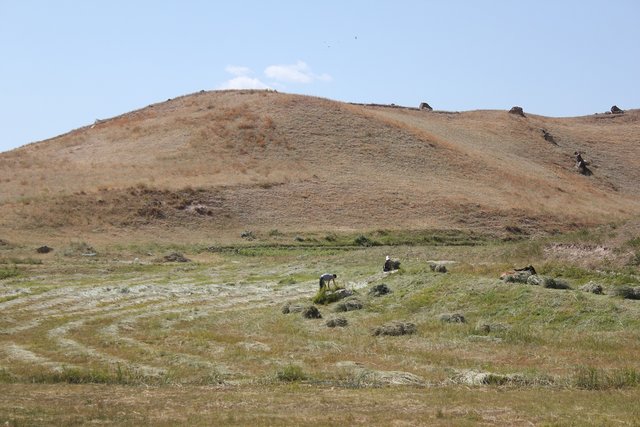 Pasture inclination used for developing grazing plan