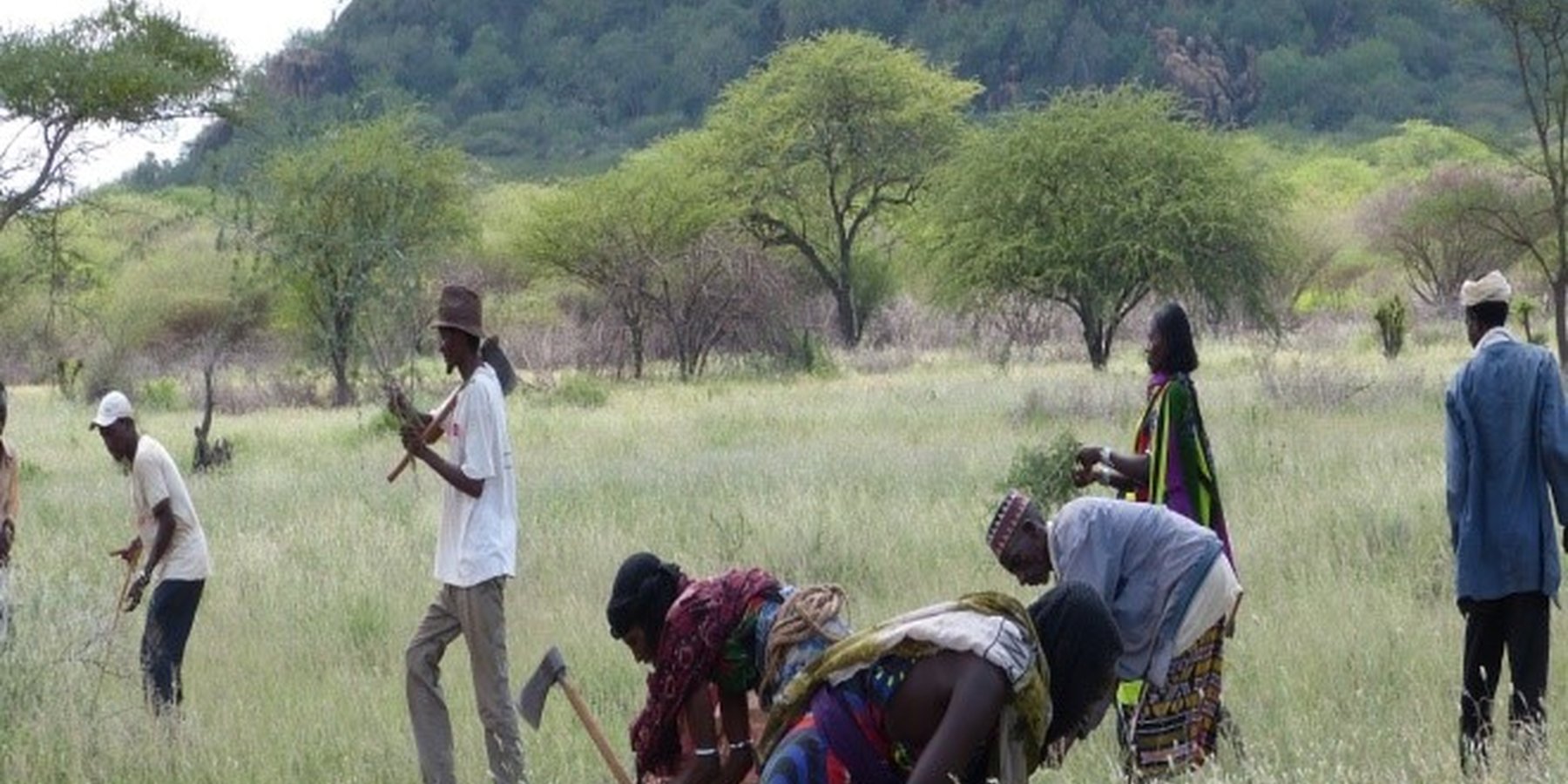 Pastoralist field schools (PFS) members working to improve their pasture land.
