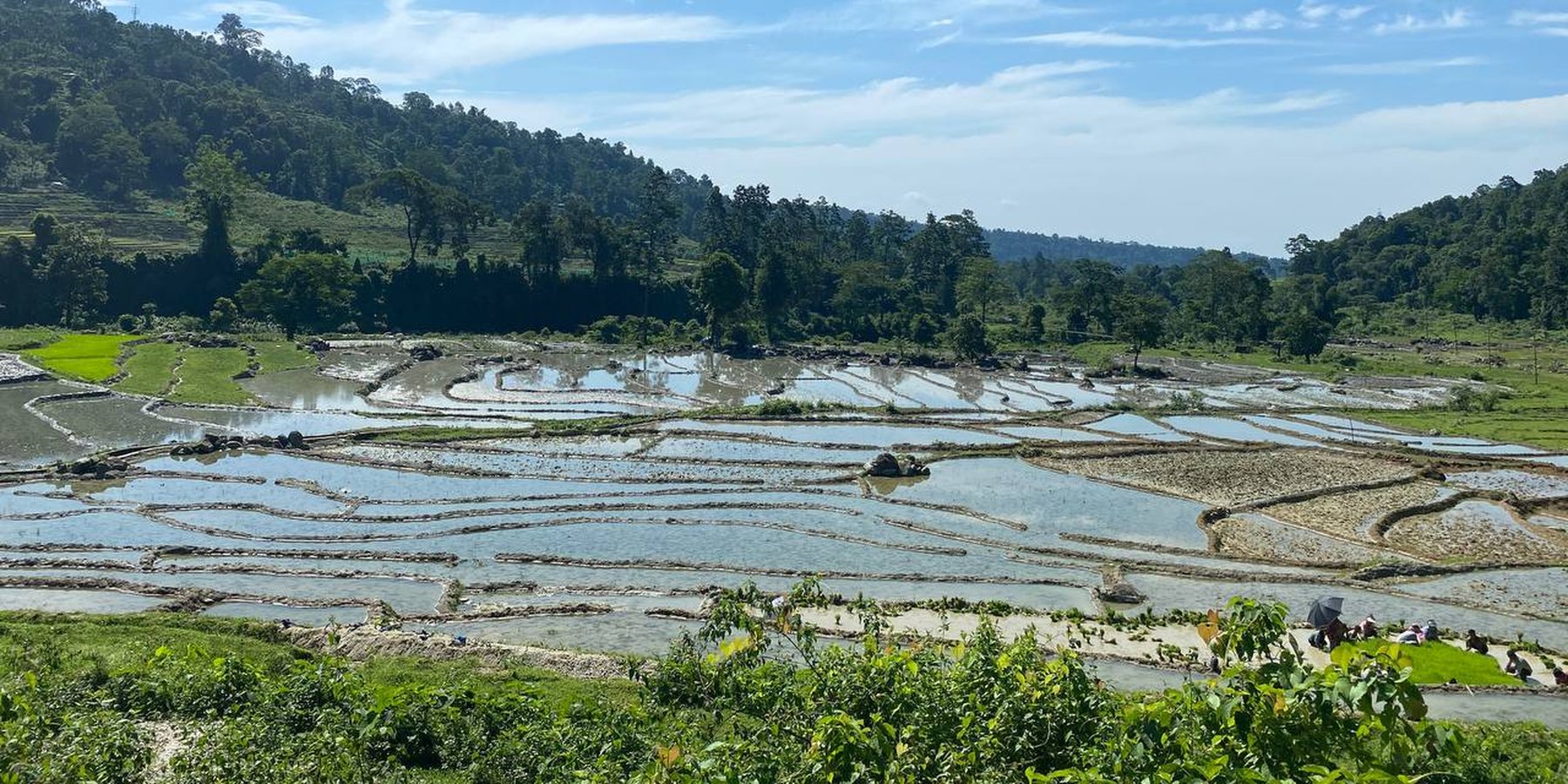 Consolidated Terraces (Irrigated Paddy Fields)
