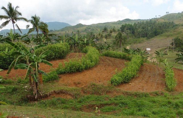 Conservation Farming Village