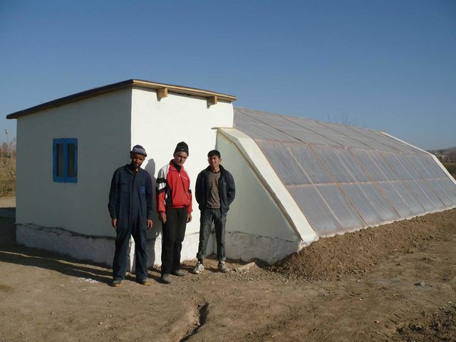 Solar greenhouses