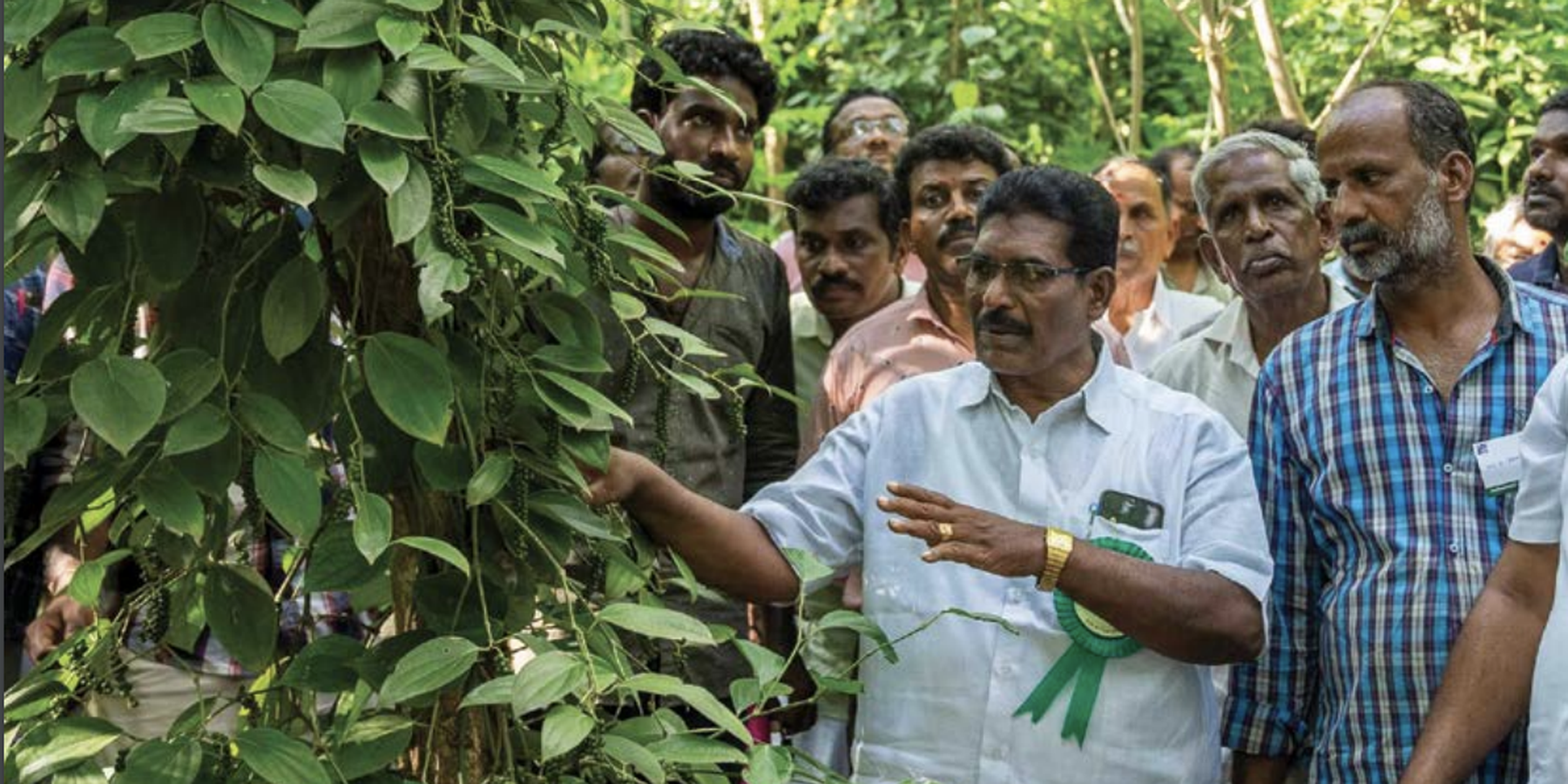 Farmer training taking place at a model farm