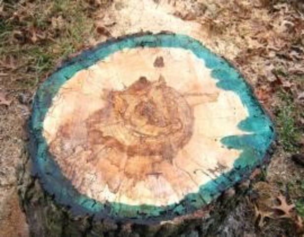 Cut-stump treatment