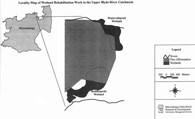 Working for Water Wetland rehabilitation