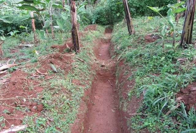 Runoff Water Harvesting Contour Trenches and Pits in Hilly areas