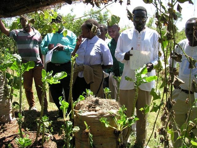 Farmer Field Schools