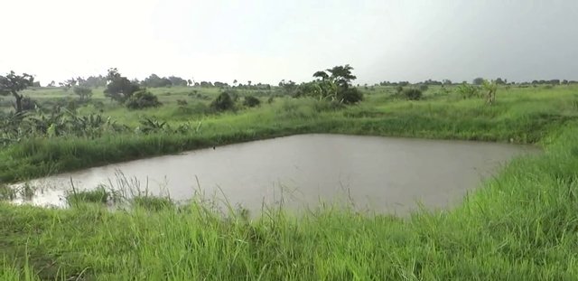 Fish ponds for fish production and improved household income