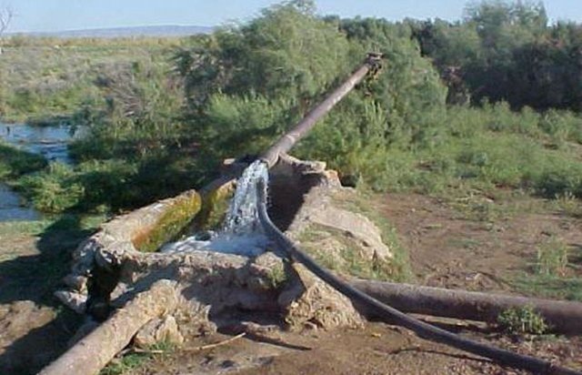 Использование артезианских минерализованных вод для организации поливного земледелия в Кызылкумах (ИСЦАУЗР)