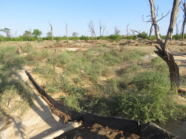 Remodelage de ravines par la mise en place de barrières à sédiments, de nattes anti-érosion et d’entassement de broussailles