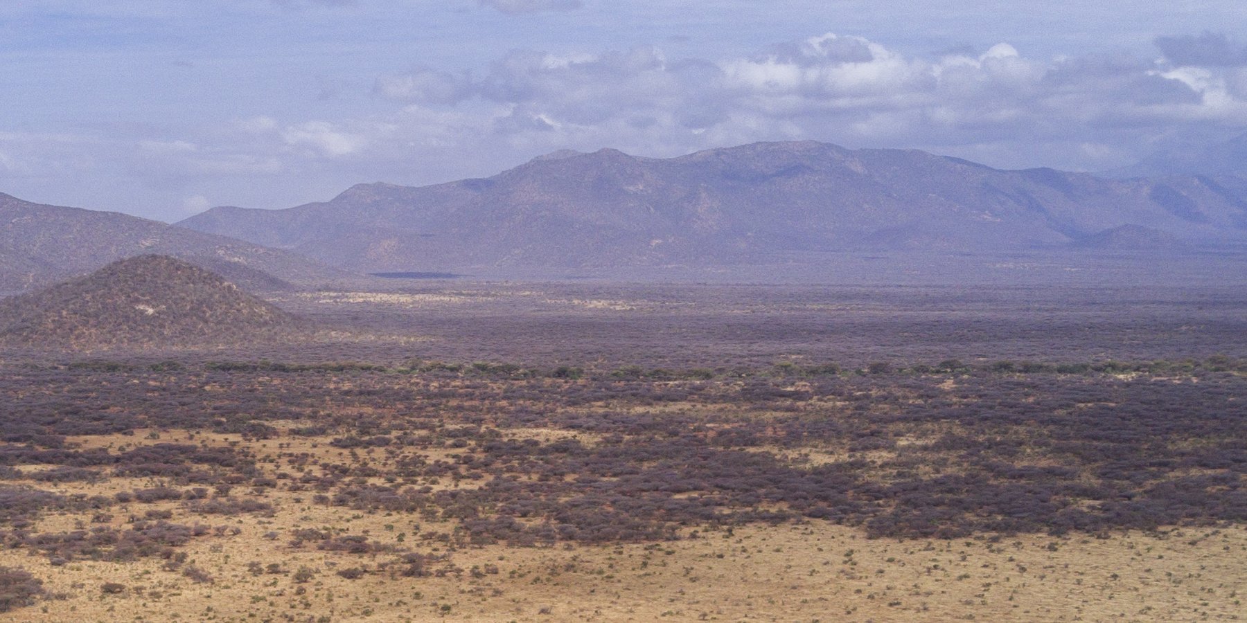 Chaîne de collines caractéristique de Kalama Wildlife Community Conservancy, à partir de laquelle le nom de Kalama est dérivé.