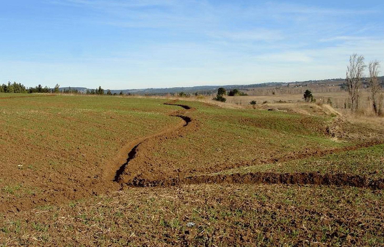 In 2010, 30 ha of a no-tillage wheat-oat crop rotation with subsoiling and contour ploughing together with barrier hedges were implemented by farmers of the County of Yumbel