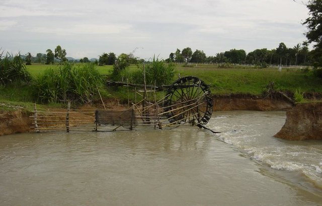 Irrigation of paddy fields using water-pumping wheels (Norias)
