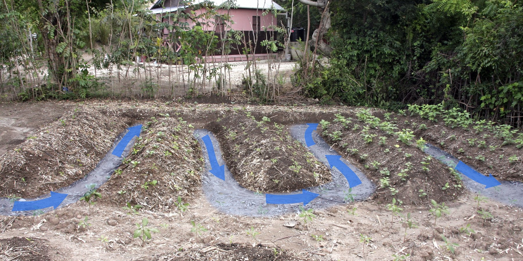 Water flow around Terra Preta raised garden beds, limiting erosion and facilitating infiltration of water