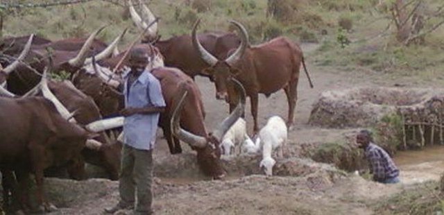 Livestock keepers initiative for continued dry season animal drinking water supply