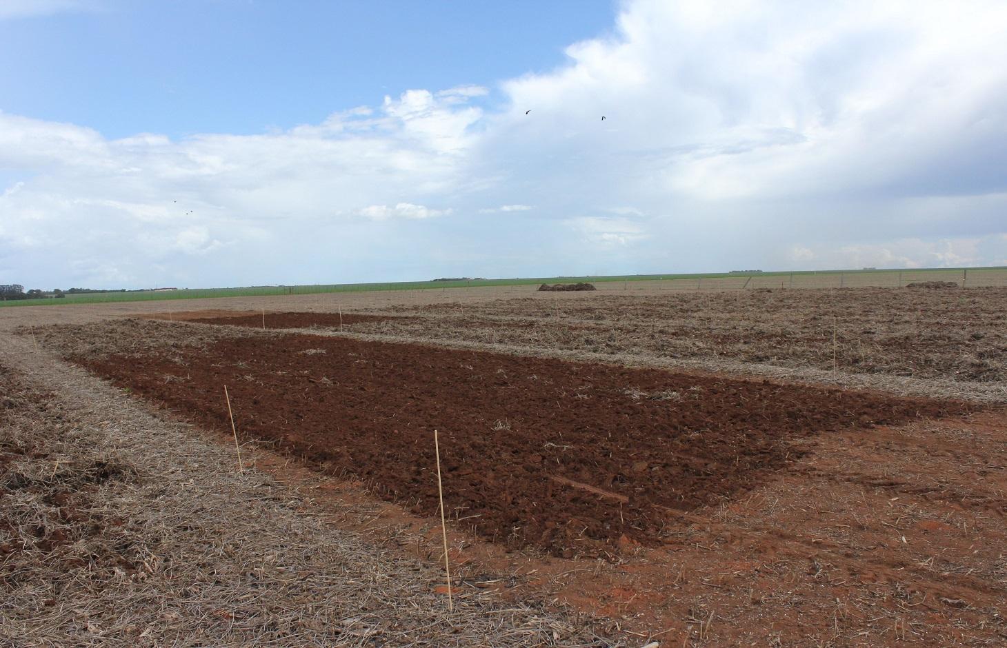 Experimental plots on a tropical agricultural soil (a ferrasol) after organic matter additions.