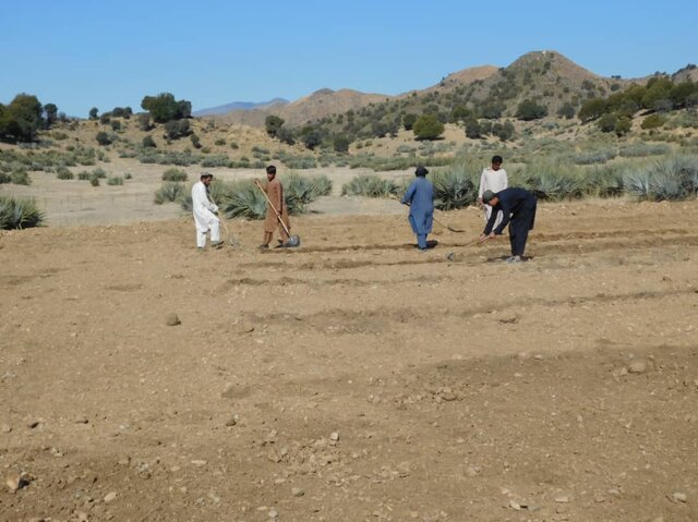 Learning Site to promote Sustainable Land and Forest Management Practices in Khost