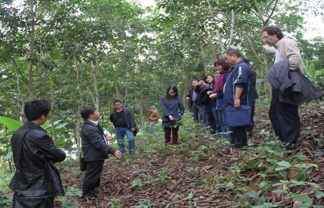 Scientist-practitioner communication for sustainable rubber cultivation in China