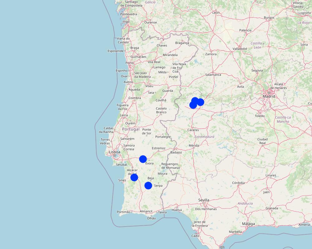 Previsualización del mapa