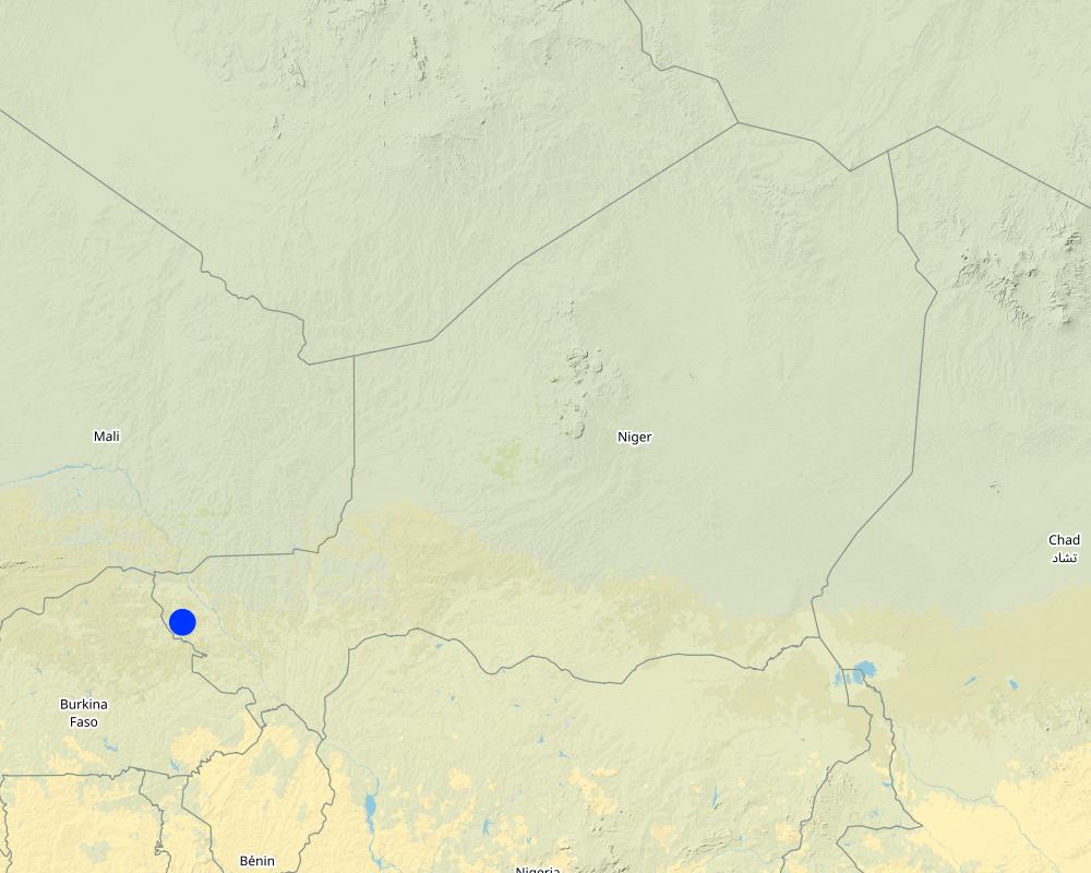 Previsualización del mapa