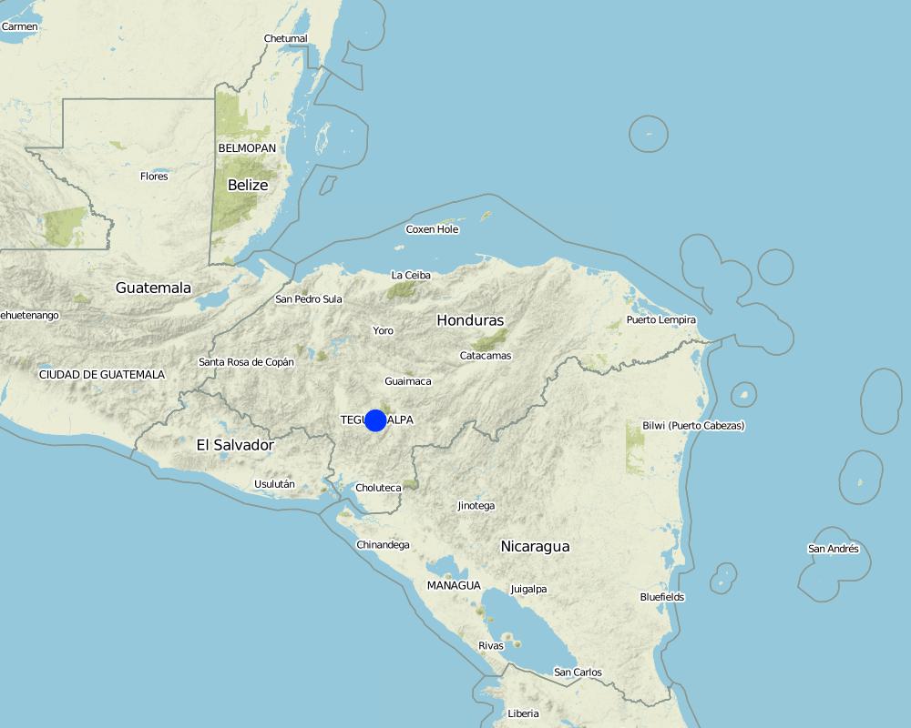 Previsualización del mapa