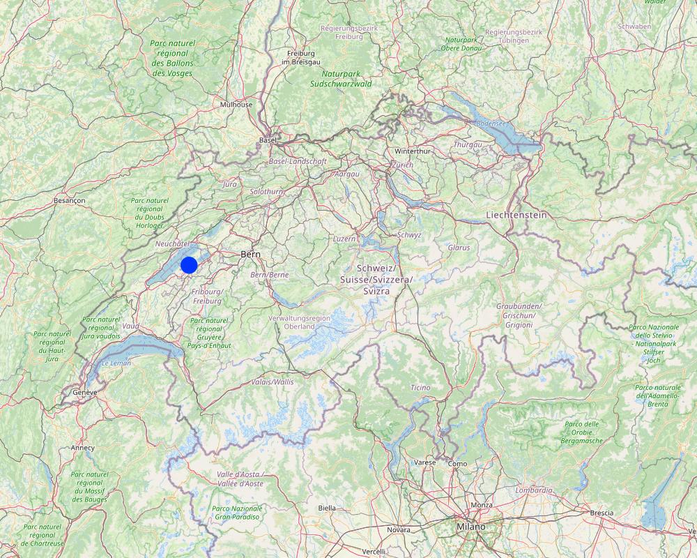 Previsualización del mapa