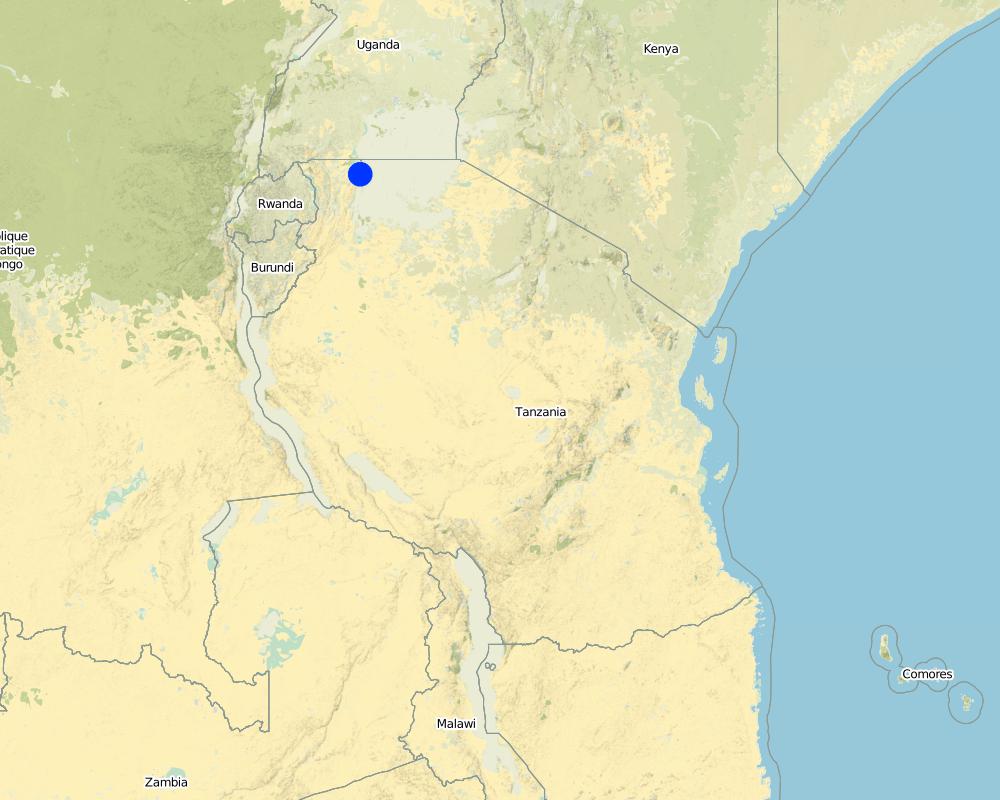 Previsualización del mapa